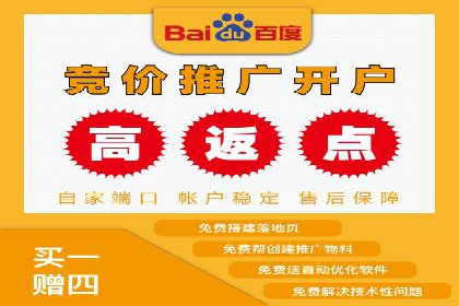 优化竞价SEM：成功案例分享